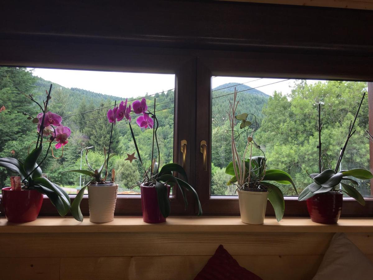 Chalet Du Champs Des Semeaux Wisches Kültér fotó