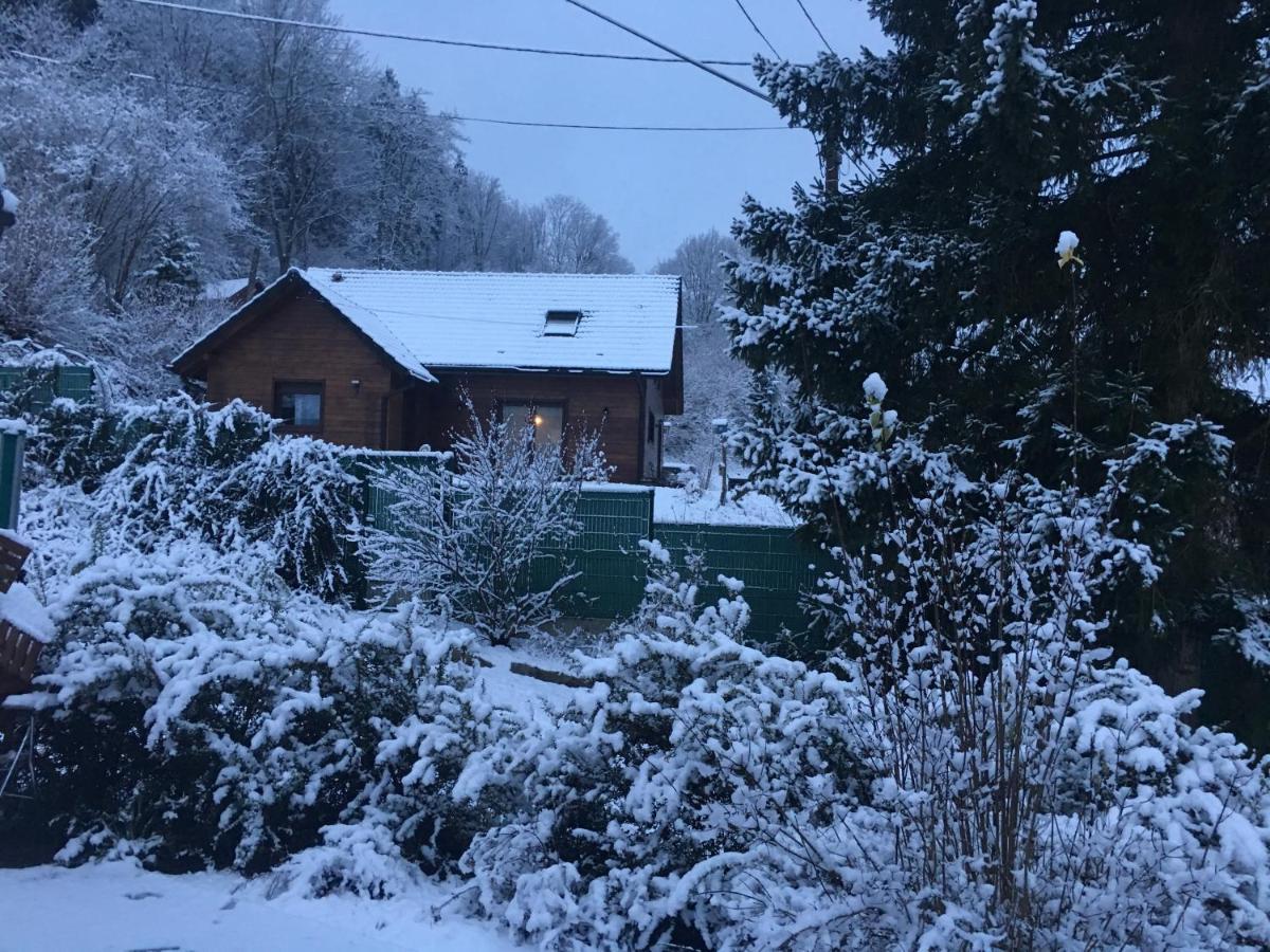 Chalet Du Champs Des Semeaux Wisches Kültér fotó